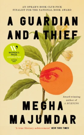 A Guardian and a Thief book cover