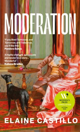 Moderation book cover