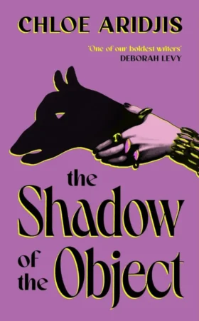 The Shadow of the Object book cover