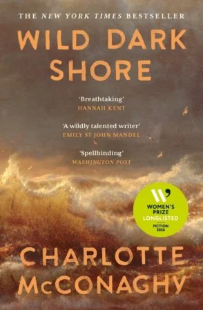 Wild Dark Shore book cover